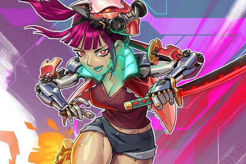 Strikeswoop, Cyber Ronin